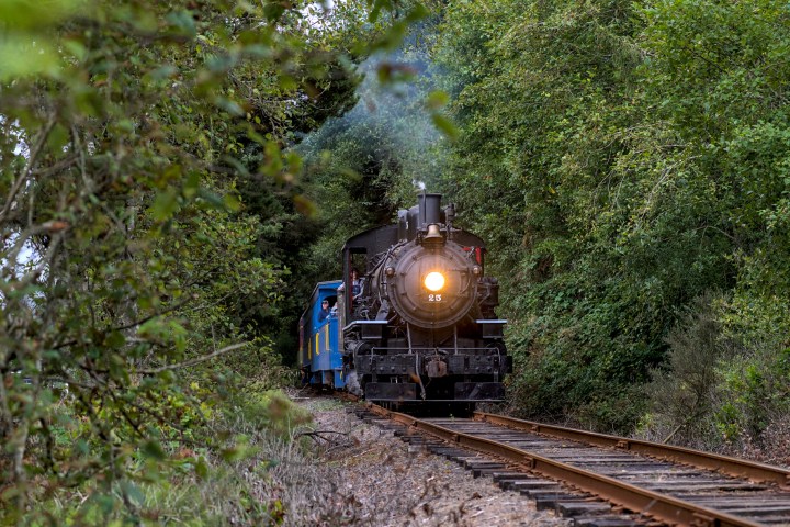 a train traveling down train tracks near a forest