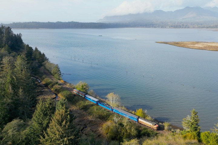 a close up of a hillside next to a body of water