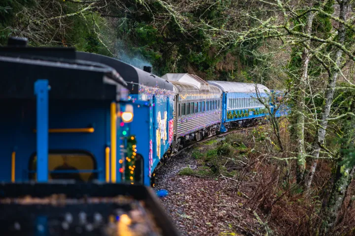 Colorful train with lights travels through a forested area.