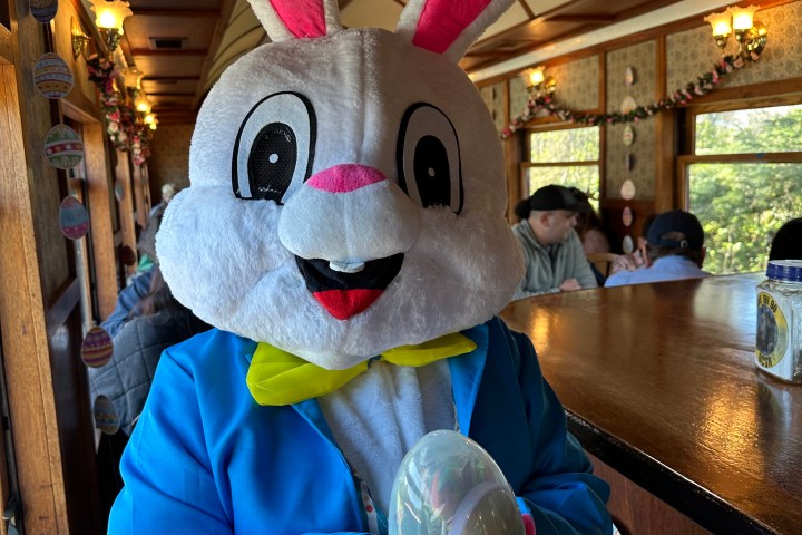 a group of stuffed animals