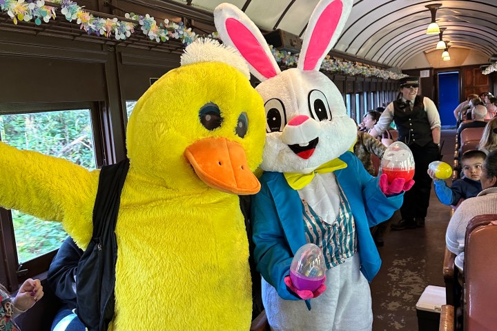 a group of stuffed animals